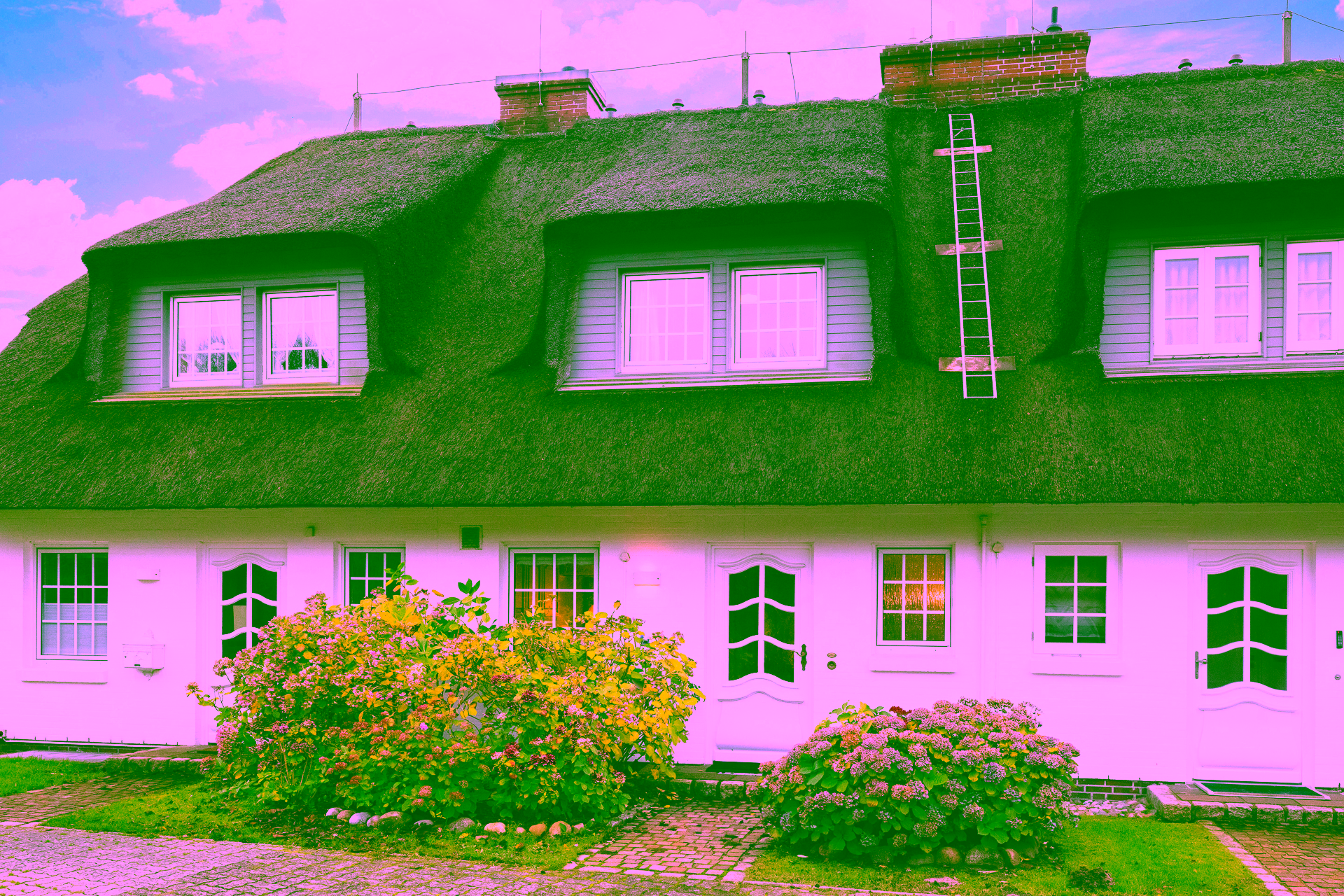 Charmantes reetgedecktes Mittelhausteil unweit der Braderuper Heide - Bild (17617)