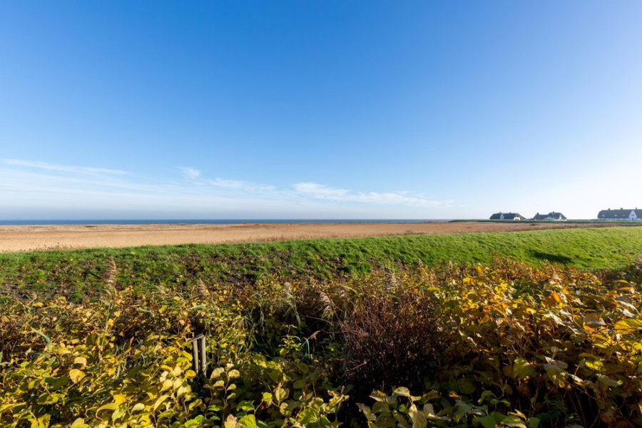 Bild - Schöne Erdgeschosswohnung unter Reet mit Blick über das Wattenmeer