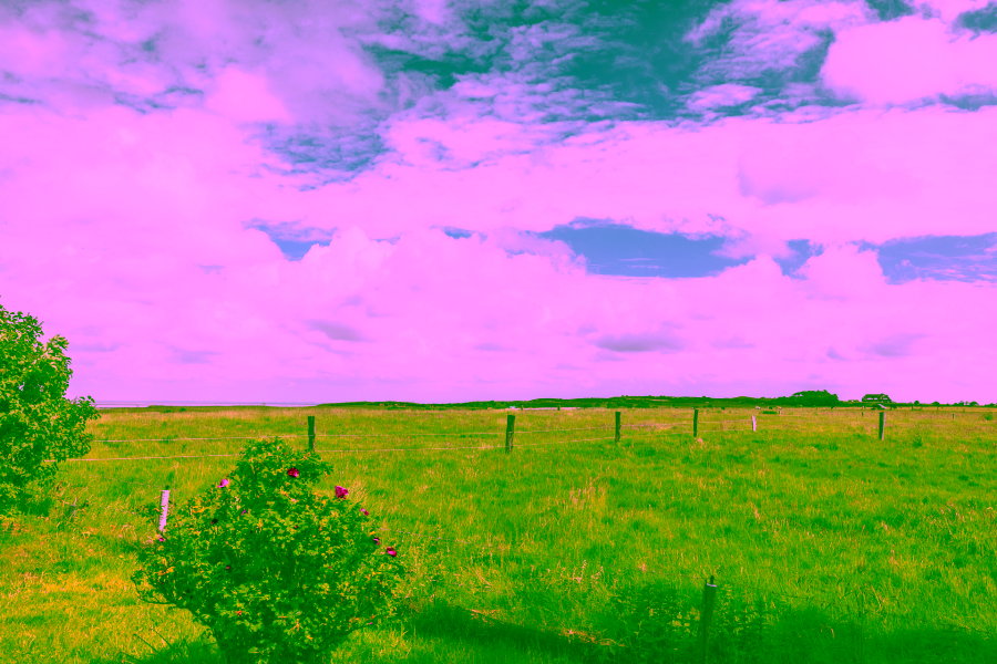 Bild - Baugrundstück mit tollem Blick auf das Morsumer Kliff mit Altsubstanz