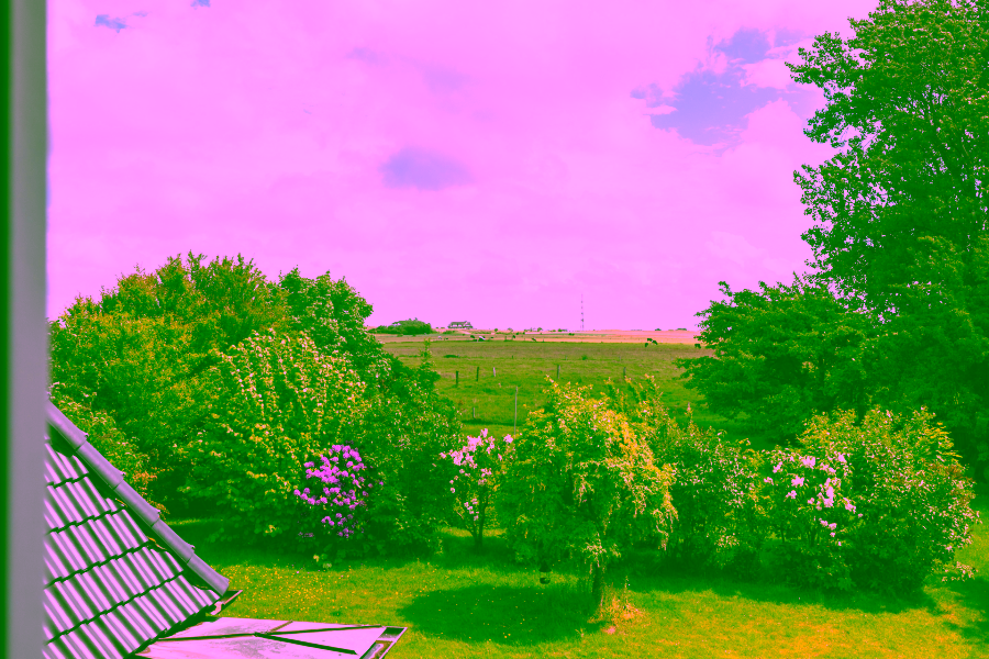 Bild - Baugrundstück mit tollem Blick auf das Morsumer Kliff mit Altsubstanz