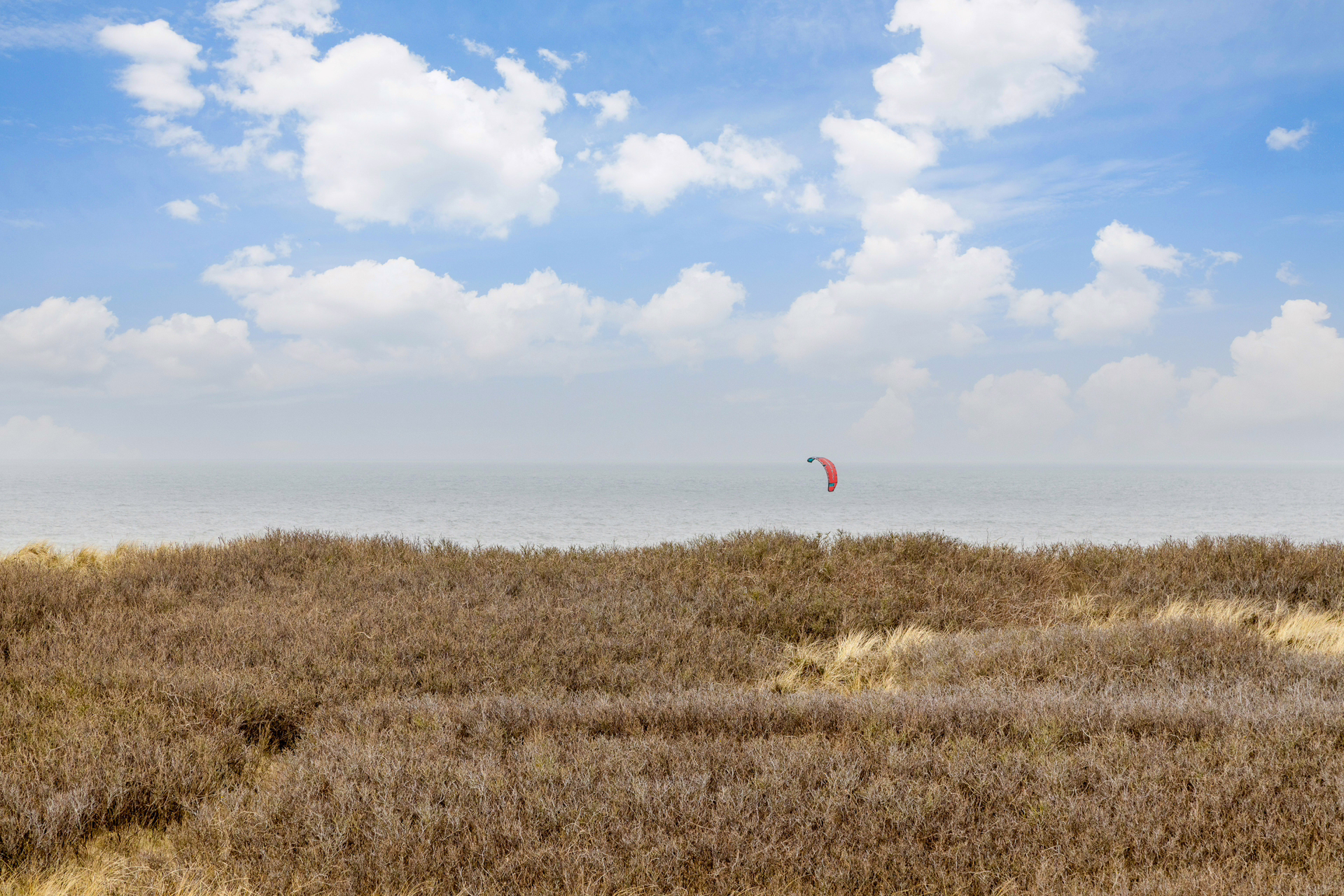 Bild - Einmaliger Traum unter Reet mit Nordseeblick