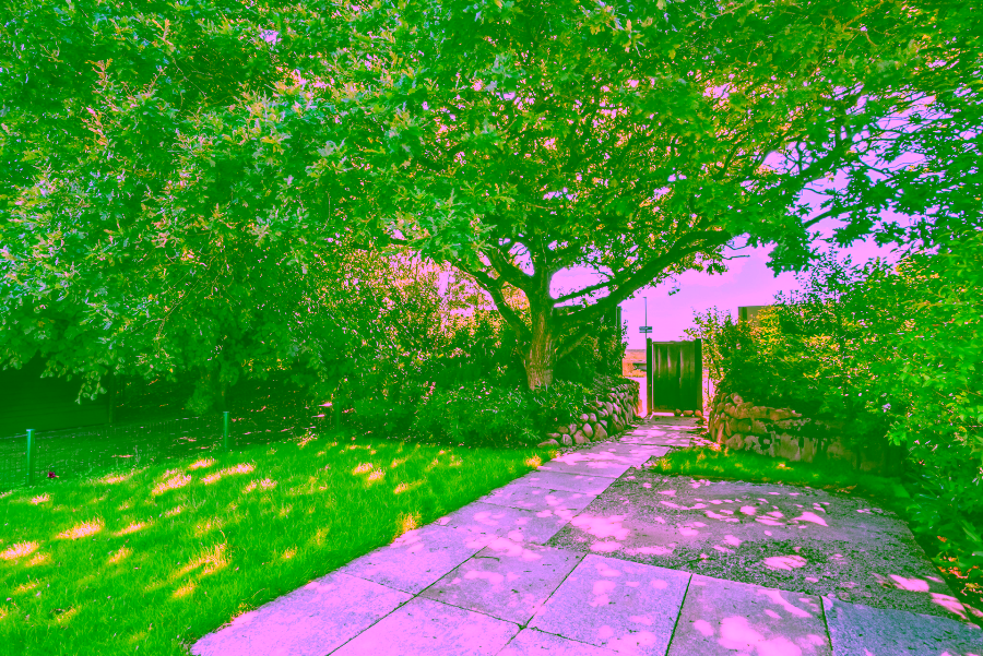 Bild - Liebevoll sanierte Haushälfte unter Reet in Keitum mit einer Garage