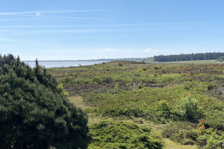 Bild - Traumhafter Blick übers Wattenmeer von Munkmarsch bis nach Keitum und Morsum