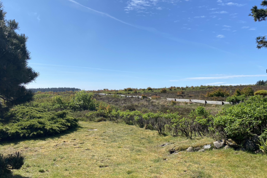 Bild - Traumhafter Blick übers Wattenmeer von Munkmarsch bis nach Keitum und Morsum