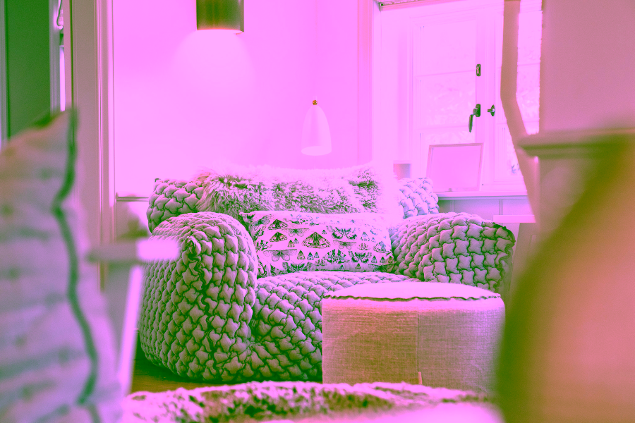 Bild - Romantisches Friesenhaus im Herzen von Keitum