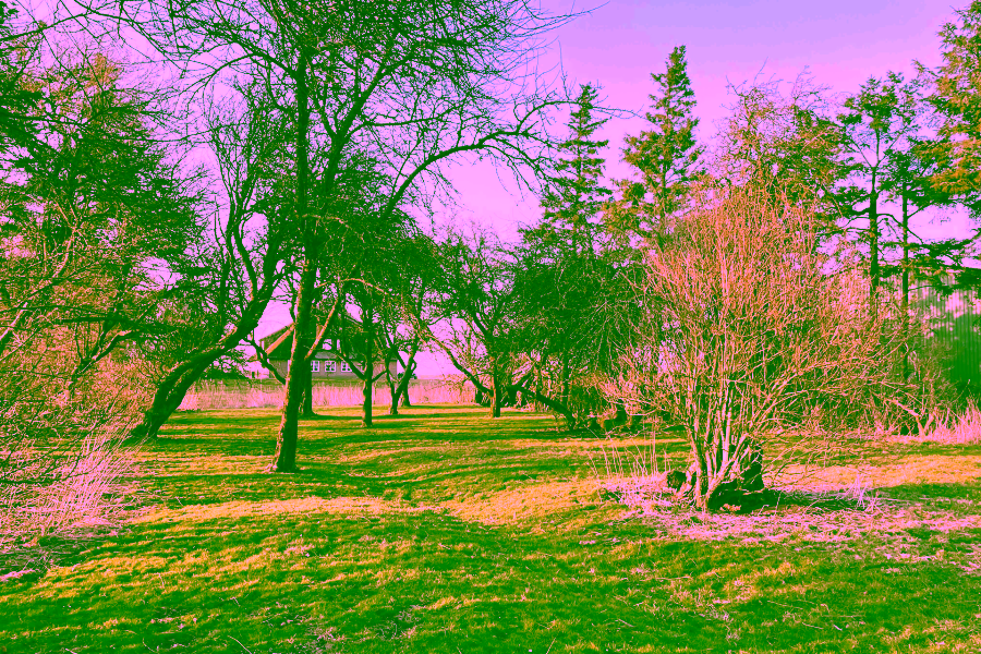Garten - Reetdach Anwesen in idyllischer Lage von Galmsbüll