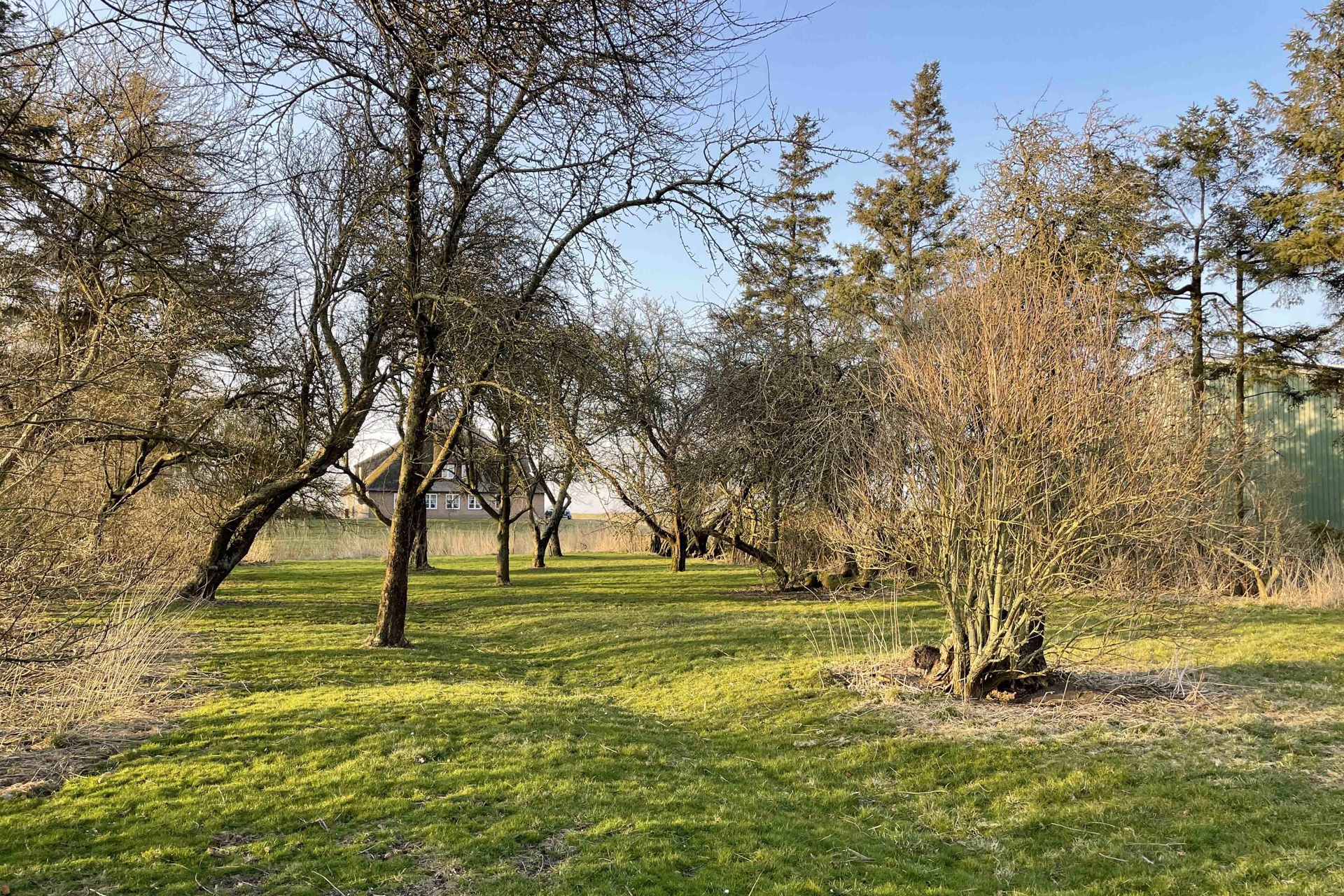 Garten - Reetdach Anwesen in idyllischer Lage von Galmsbüll