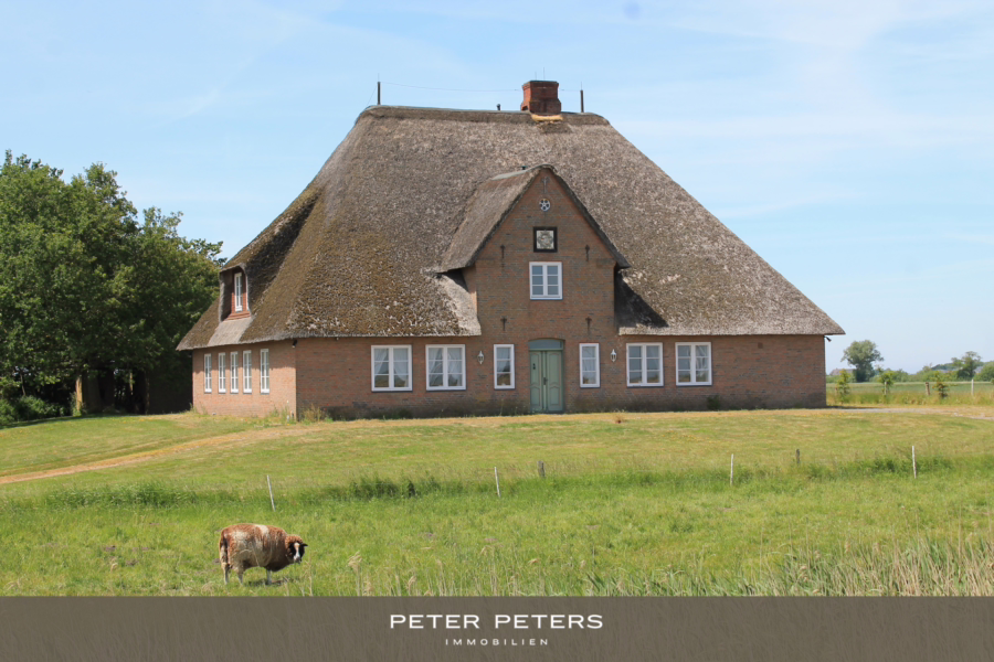 Titelbild - Reetdach Anwesen in idyllischer Lage von Galmsbüll