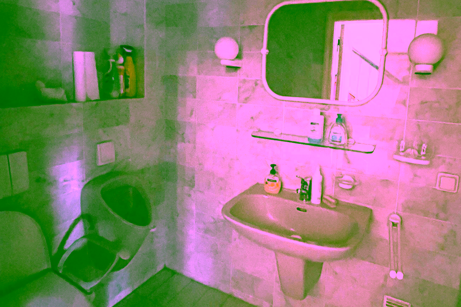 Duschbad 2 - Reetdach Anwesen in idyllischer Lage von Galmsbüll