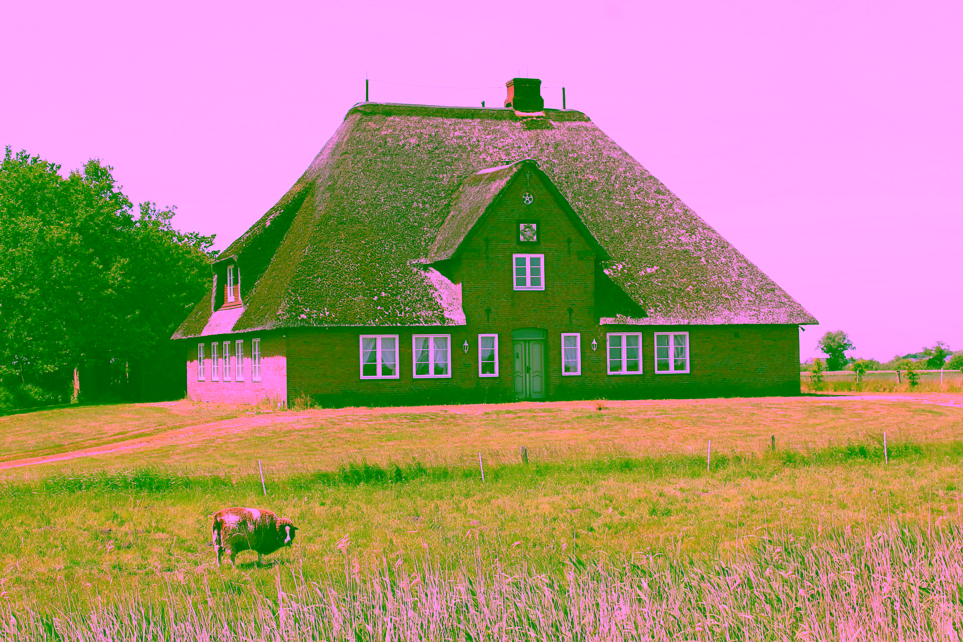 Reetdach Anwesen in idyllischer Lage von Galmsbüll, 25899 Galmsbüll, Resthof