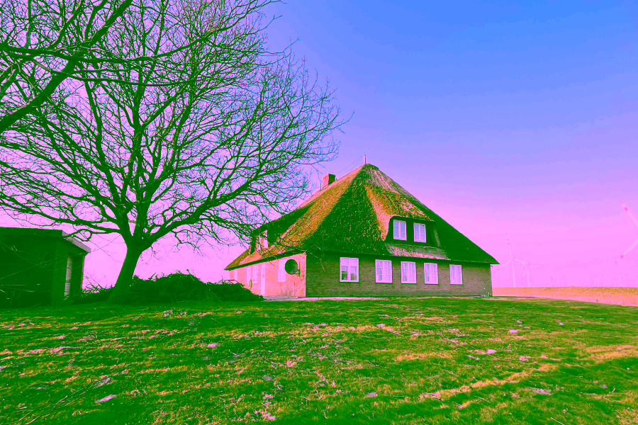 Ansicht - Reetdach Anwesen in idyllischer Lage von Galmsbüll
