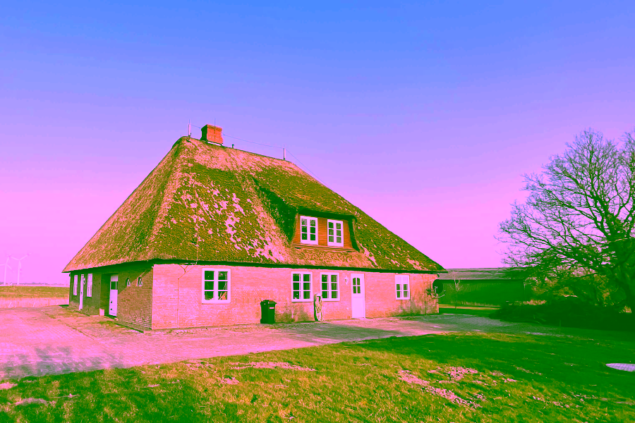 Ansicht 2 - Reetdach Anwesen in idyllischer Lage von Galmsbüll