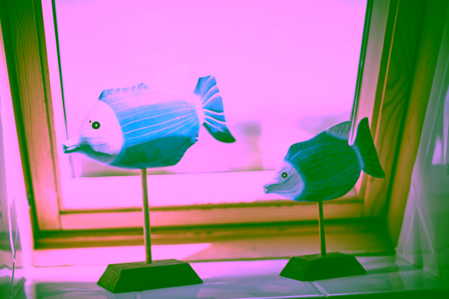 Bild - Schöne Wohnungen in strandnaher Lage von Wenningstedt