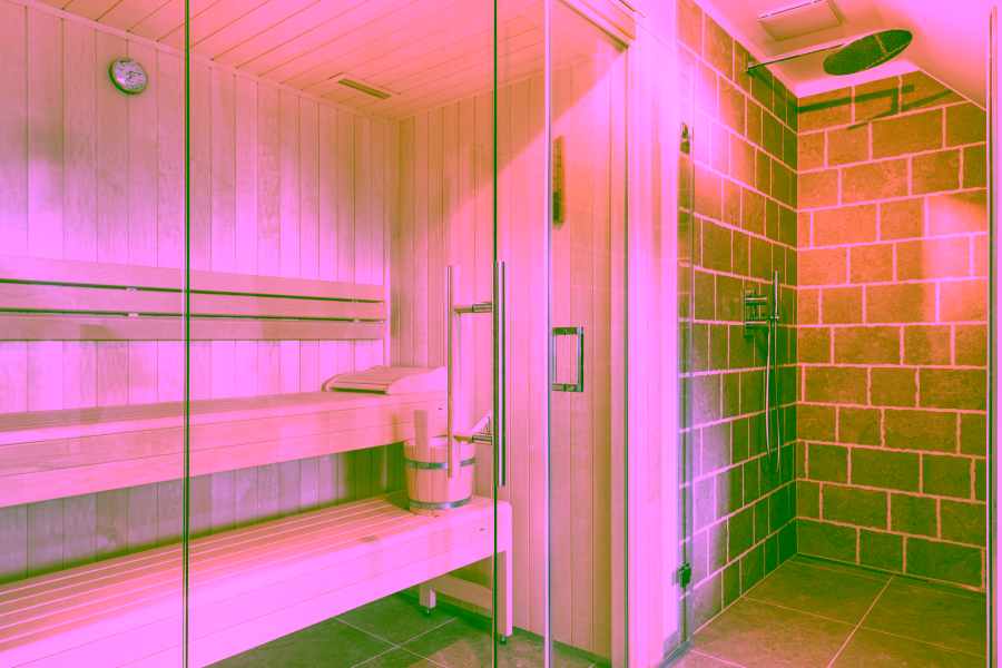 Bild - Große halbe Düne – F 17/F18 Luxuriöses Ferienhaus unter Reet in List auf Sylt