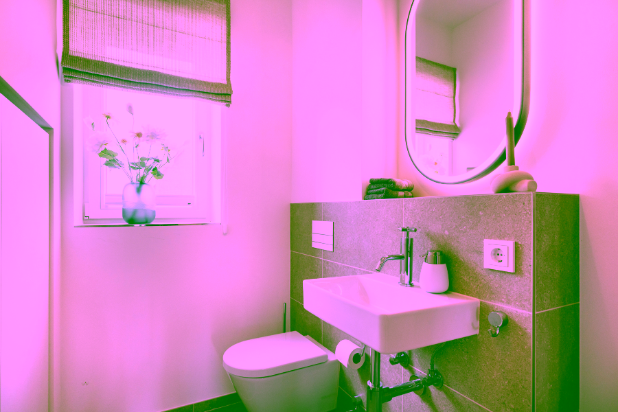 Bild - Große halbe Düne – F 17/F18 Luxuriöses Ferienhaus unter Reet in List auf Sylt