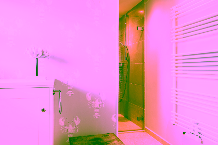 Bild - Exklusives Wohnen unter Reet direkt am Strand