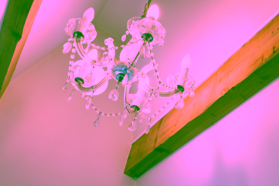 Bild - Reetgedeckte Eleganz (DHH) am Wattenmeer, mehr Watt geht nicht