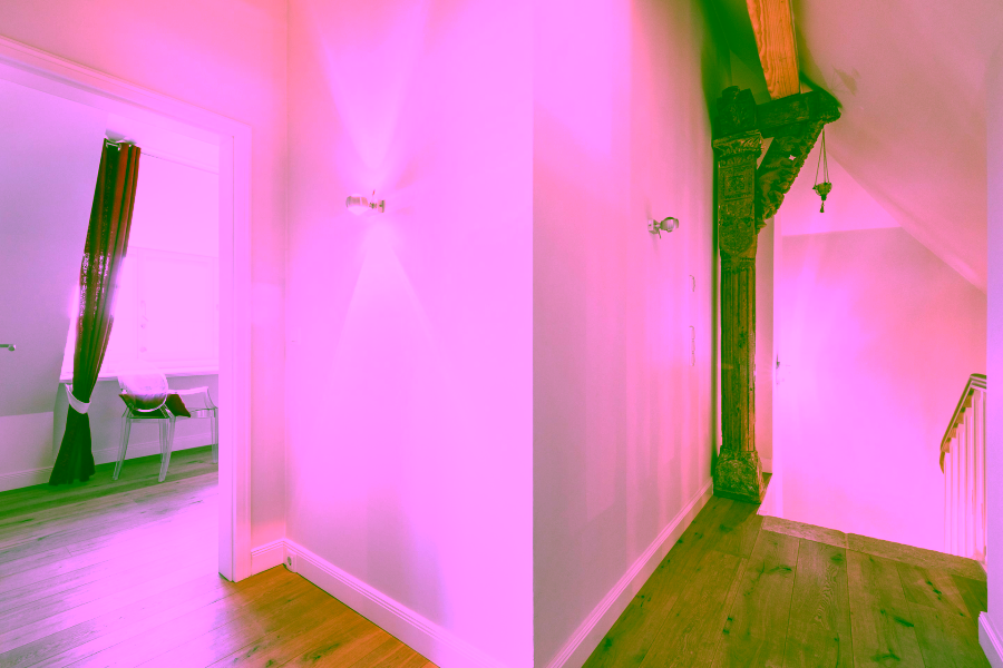 Bild - Reetgedeckte Eleganz (DHH) am Wattenmeer, mehr Watt geht nicht