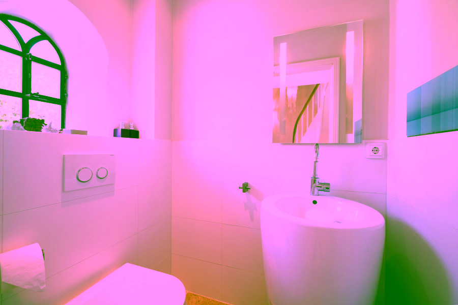 Bild - Reetgedeckte Eleganz (DHH) am Wattenmeer, mehr Watt geht nicht