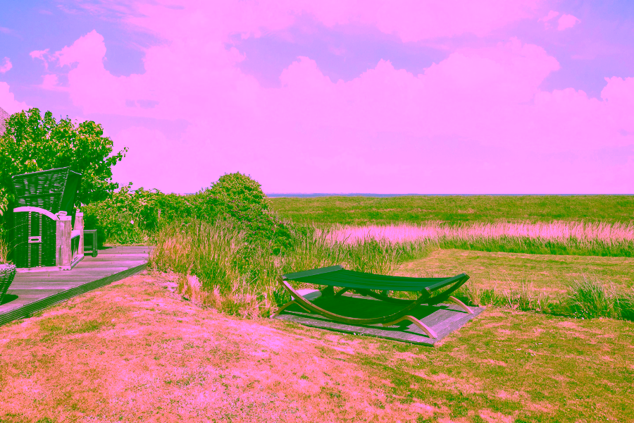 Bild - Reetgedeckte Eleganz (DHH) am Wattenmeer, mehr Watt geht nicht