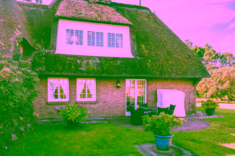 Bild - Schmucke Reethaushälfte mit herrlichem Blick auf das Wattenmeer