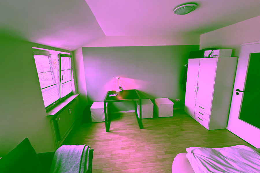 Bild - Schmucke Reethaushälfte mit herrlichem Blick auf das Wattenmeer