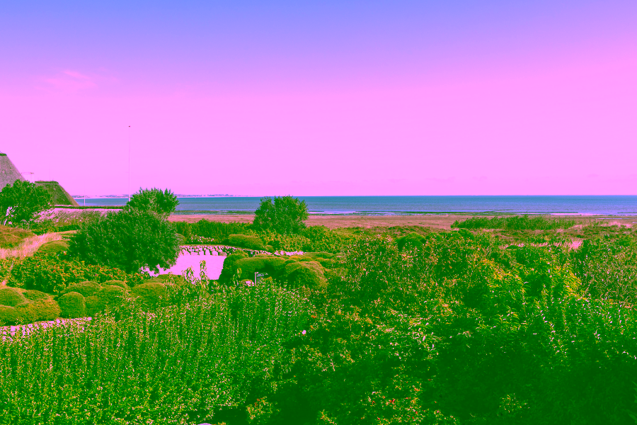 Bild - Schmucke Reethaushälfte mit herrlichem Blick auf das Wattenmeer