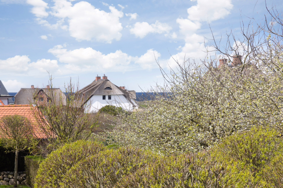 Bild - Schöne Dachgeschosswohnung in ruhiger Lage von Wenningstedt