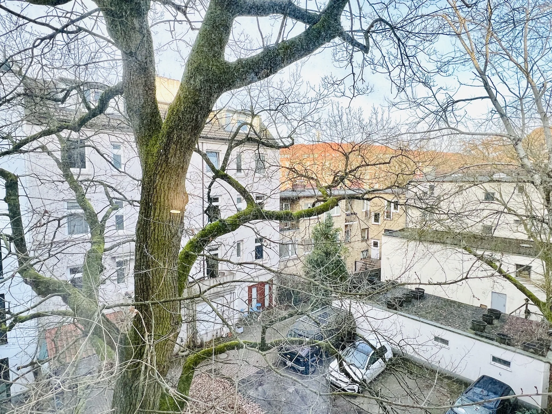 Bild - Charmante Wohnung mit Südbalkon im Zentrum von Winterhude