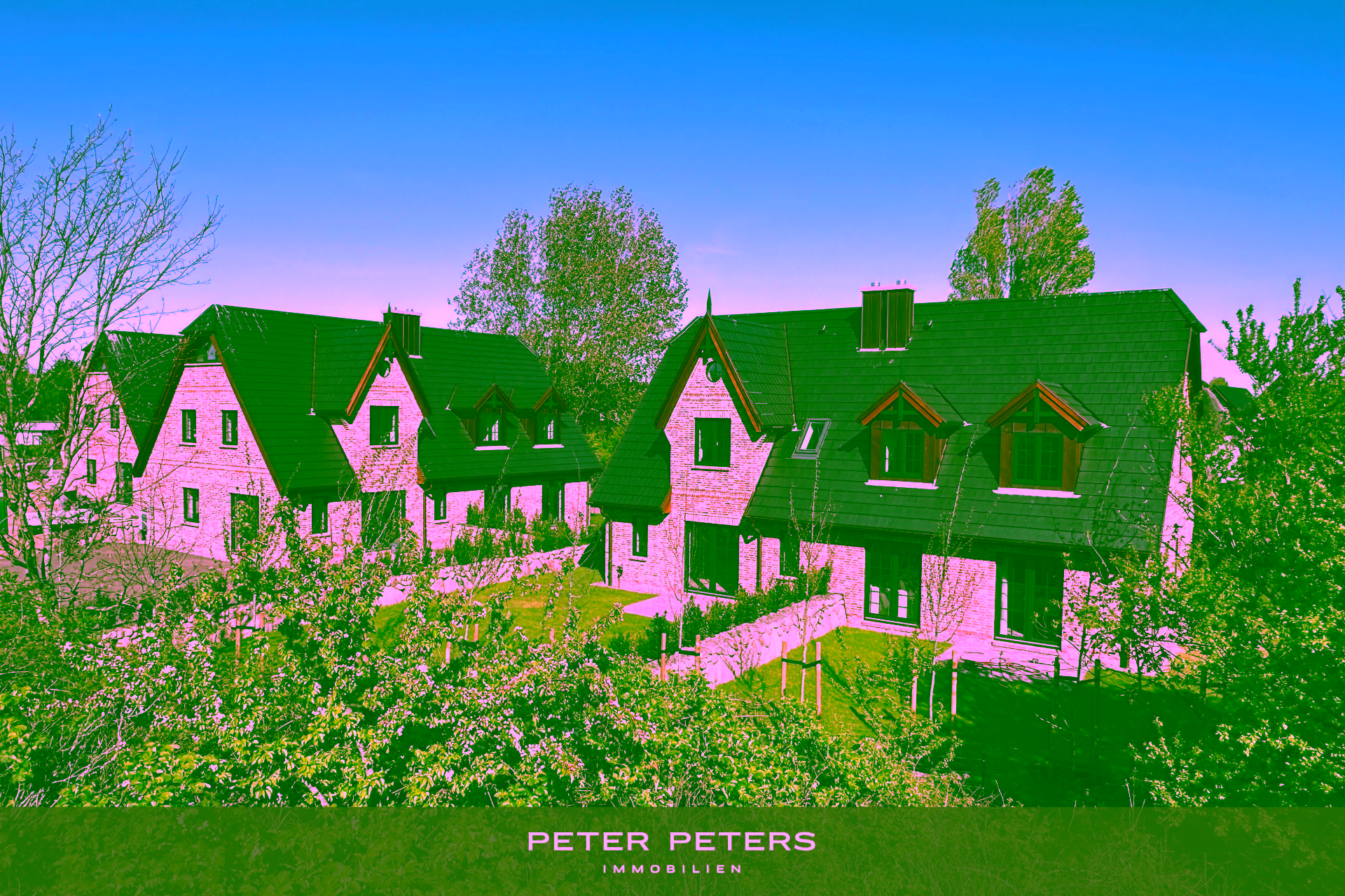 Neubau von drei exklusiven Doppelhäusern mit jeweils 1 Ferien- und 1 Dauerwohnung - Titelbild (17460)