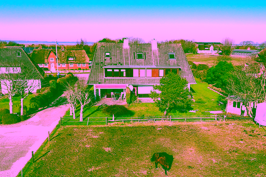 Bild - Reihenendhaus mit einmaligem Blick in die Morsumer Wiesen