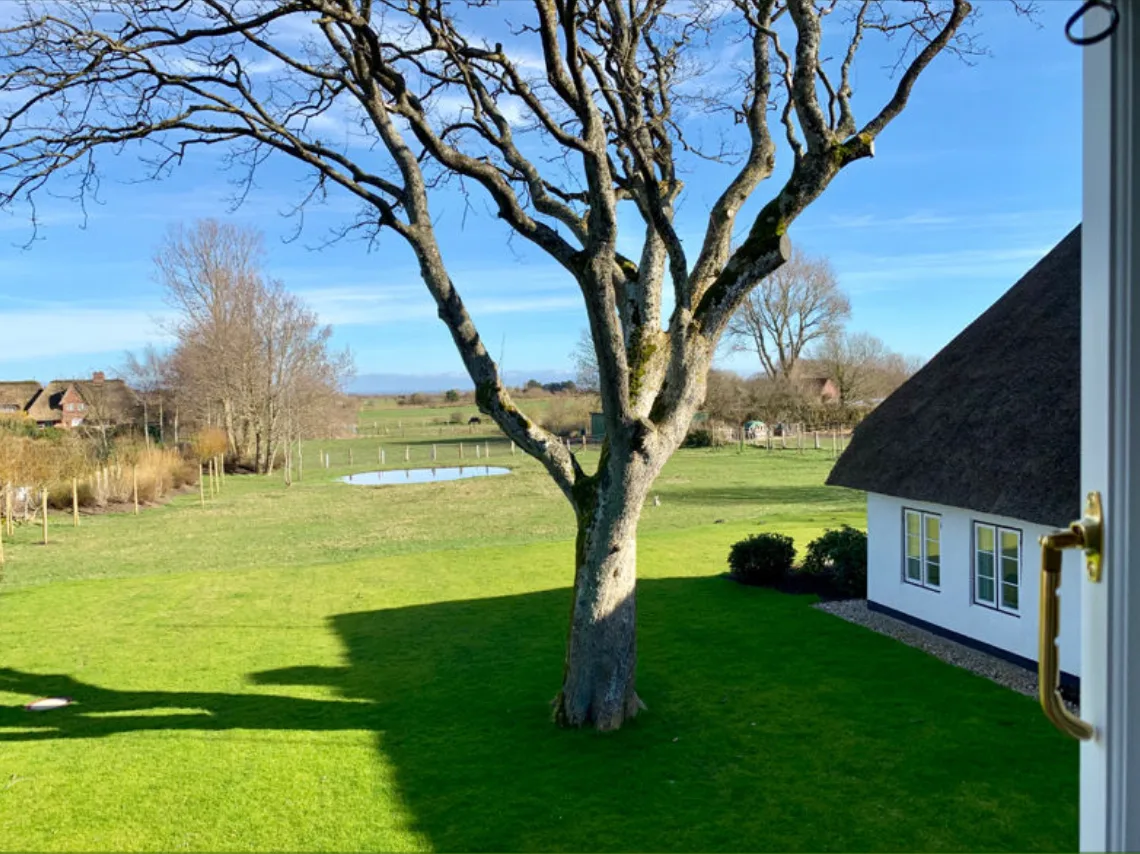 Bild - Einzigartig sanierter Resthof mit malerischem Ausblick über die Weiden bis auf das Watt
