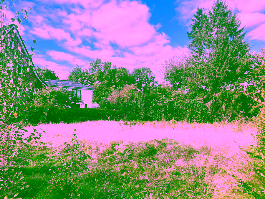 Bild - Nahe des botanischen Gartens – Grundstück mit Baugenehmigung in Groß-Flottbek