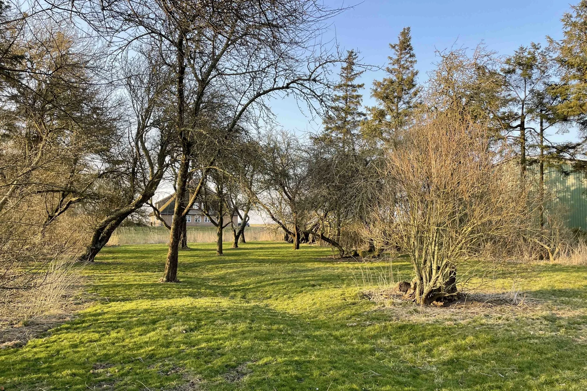 Garten - Reetdach Anwesen in idyllischer Lage von Galmsbüll
