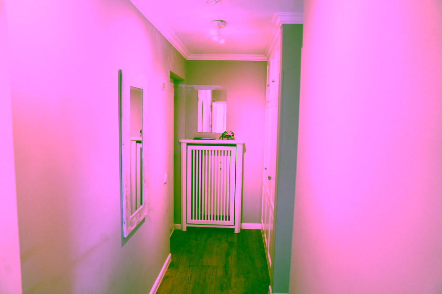 Bild - Modernes Zwei-Zimmer-Appartement am Wenningstedter Dorfteich