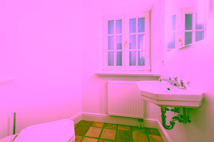 Bild - Großzügige Doppelhaushälfte unter Reet mit Einzelhauscharakter in Kampen