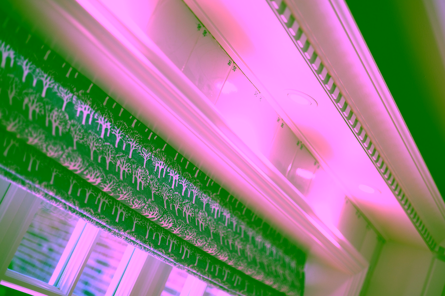 Bild - Großzügige Doppelhaushälfte unter Reet mit Einzelhauscharakter in Kampen