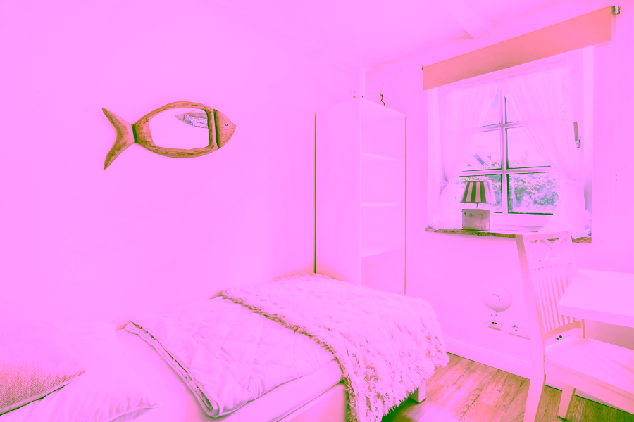 Bild - Reetgedecktes Mehrfamilienhaus in Strandnaher Lage