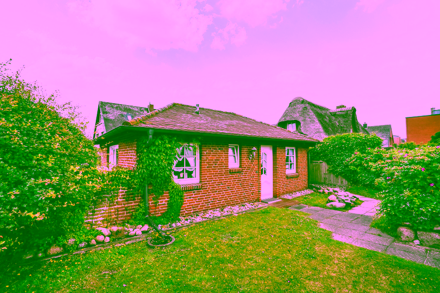 Bild - Reetgedecktes Mehrfamilienhaus in Strandnaher Lage