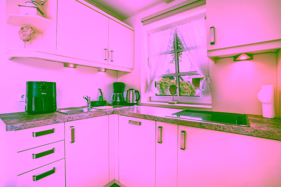 Bild - Reetgedecktes Mehrfamilienhaus in Strandnaher Lage