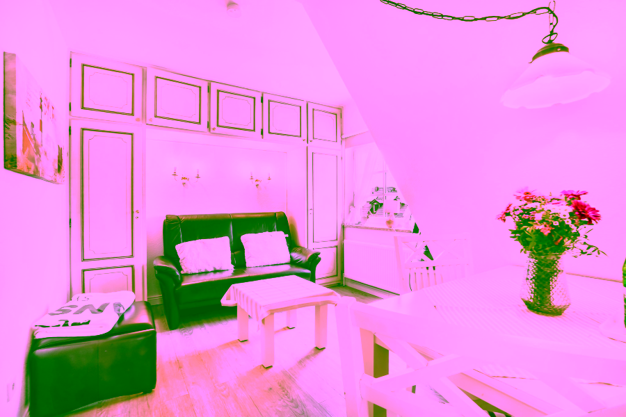 Bild - Reetgedecktes Mehrfamilienhaus in Strandnaher Lage