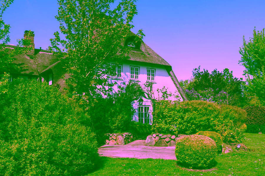 Bild - Reetgedecktes Reihenendhaus in einem wieder errichteten Friesenhof