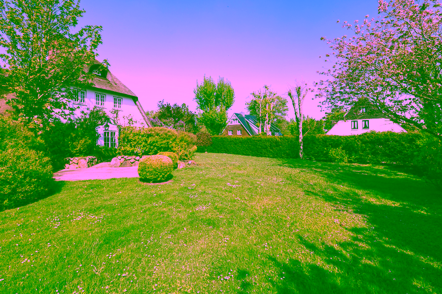 Bild - Reetgedecktes Reihenendhaus in einem wieder errichteten Friesenhof