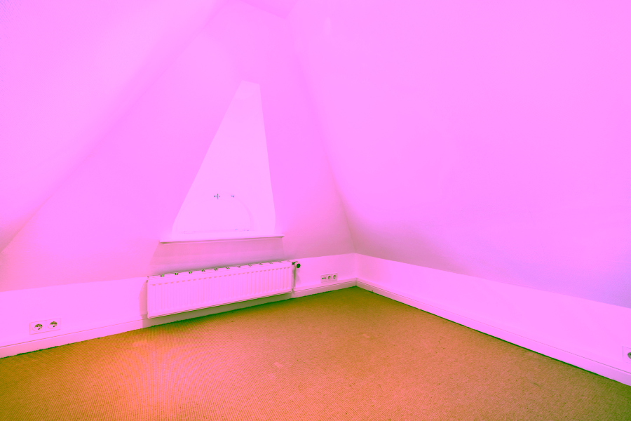 Bild - Reetgedecktes Reihenendhaus in einem wieder errichteten Friesenhof