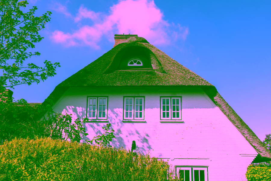 Bild - Reetgedecktes Reihenendhaus in einem wieder errichteten Friesenhof