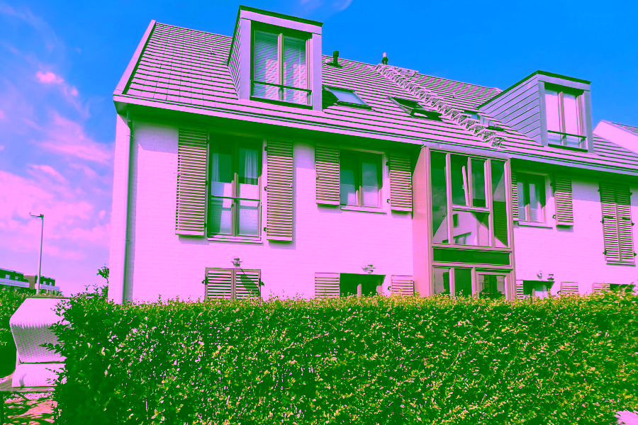 Bild - Charmantes Friesenhaus in zurückgezogener Lage