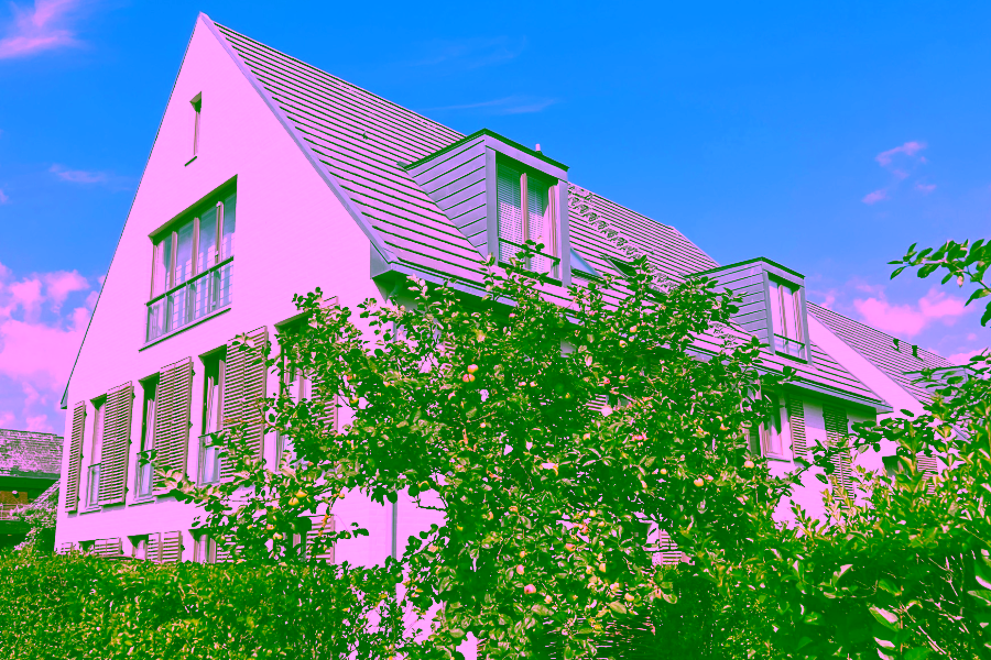 Bild - Charmantes Friesenhaus in zurückgezogener Lage