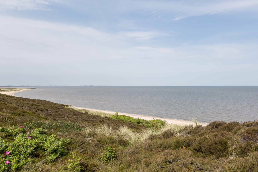 Bild - Attraktives Baugrundstück mit Altbestand in Wenningstedt