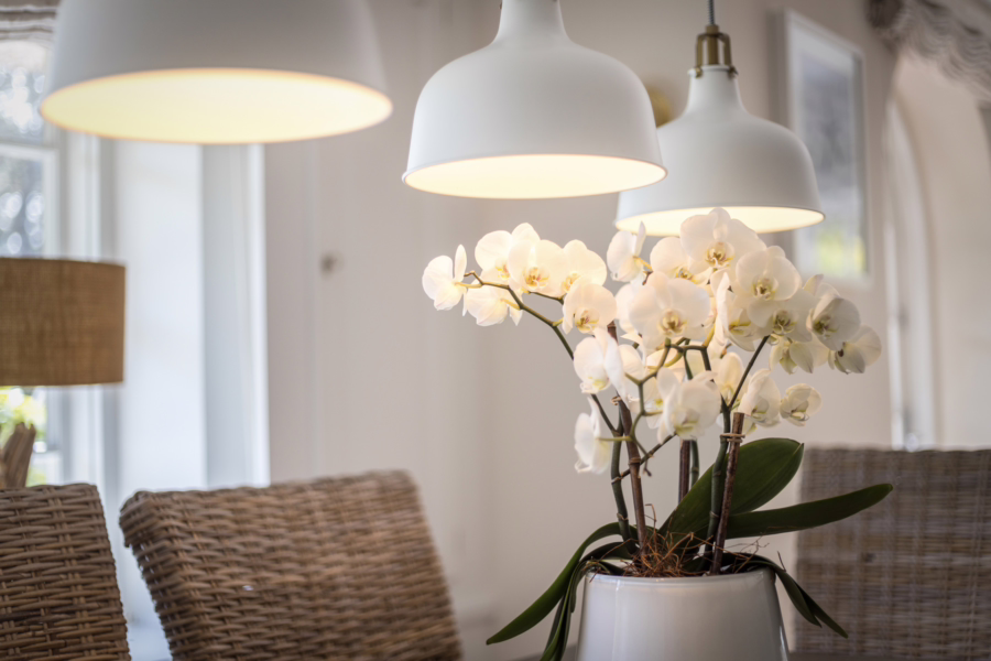 Bild - Endhaus unter Reet in begehrter Lage von Kampen