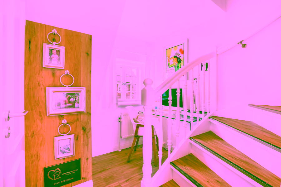 Bild - Schöne, ruhig gelegene Wohnung zwischen Dorfteich und Weststranddünen